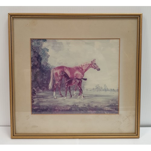 532 - Limited Edition 69/250 Signed Zita Hartigan 
 Framed Horse Study H: 31.5cm x W: 33cm