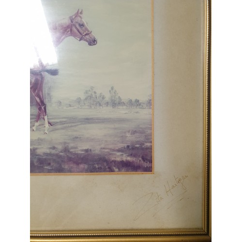 532 - Limited Edition 69/250 Signed Zita Hartigan 
 Framed Horse Study H: 31.5cm x W: 33cm