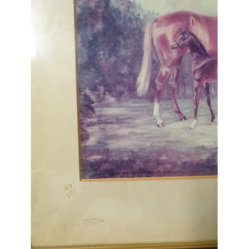 532 - Limited Edition 69/250 Signed Zita Hartigan 
 Framed Horse Study H: 31.5cm x W: 33cm