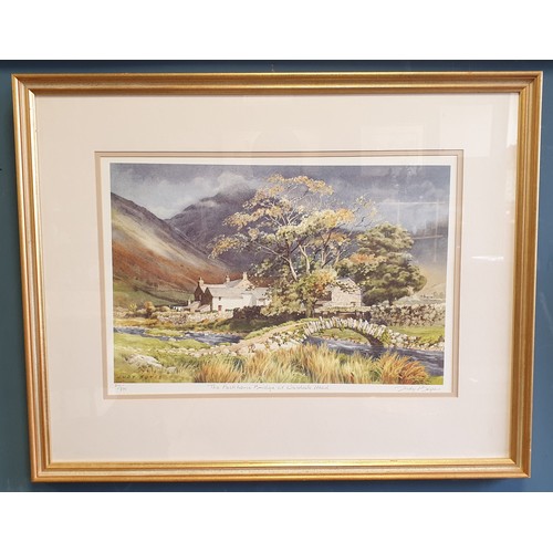 98 - Judy Boyes Limited Edition 310/850 Watercolour Singed h:56cm x  w:71cm