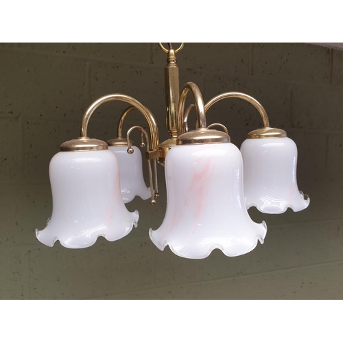 1009 - Five Branch Brass Ceiling Light with Glass Shades, H:30 x D:45cm