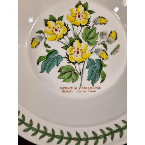 796 - Set of 6x Portmeirion Botanic Garden Bowls, approx. 21.5cm diameter.