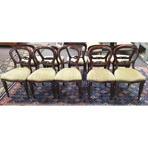 199 - Lot of 10x Balloon Back Mahogany Dining Room Chairs