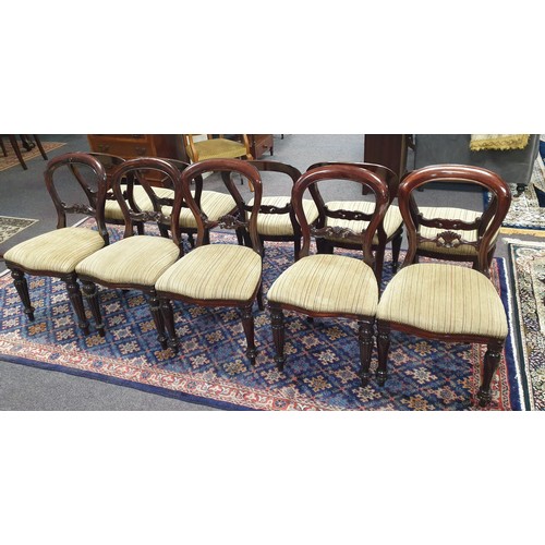 199 - Lot of 10x Balloon Back Mahogany Dining Room Chairs