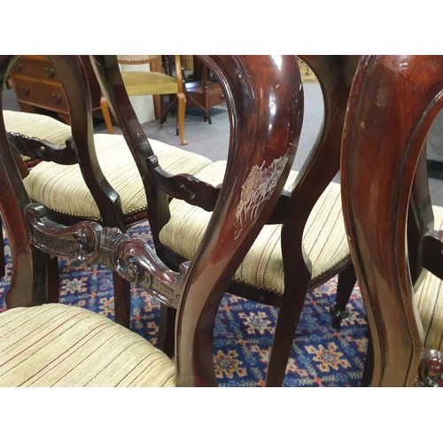 199 - Lot of 10x Balloon Back Mahogany Dining Room Chairs