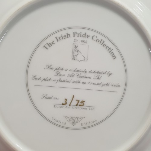 994 - Lot of 6x Carrick-On-Suir The Irish Pride Collection Collector Plates - Diameter 22cm