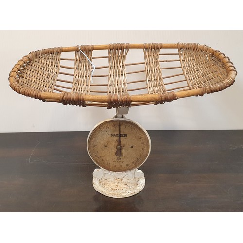 841 - Vintage Salter Scale and Basket (Basket Measures L: 58cm x D: 38cm)