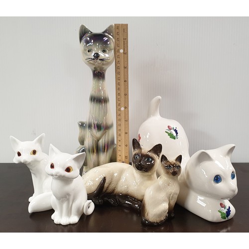 893 - Assorted Lot of Cat Ornaments including Royal Doulton and Royal Osborne