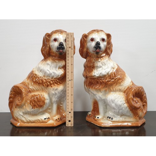 17 - Pair of Staffordshire Dog Ornaments H: 34cm