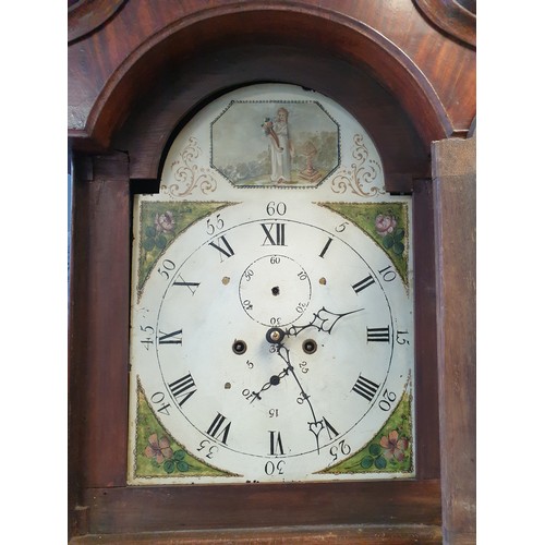 11 - Mahogany Long Case Clock with Painted Dial Face, H:225 x W:55 x D:30cm