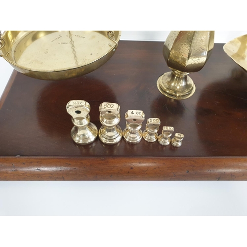61 - Large Brass Scales with Weights by Young & Marlow, H:77 x W:61 x D:32cm