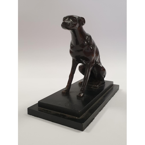 108 - Bronze Greyhound Figure on Wooden Base, H:18 x W:23 x D:11cm