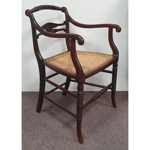 240 - Lot of 2x Regency Mahogany Carver Chairs with Bergère Seats