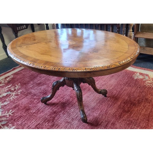 79 - Antique Victorian Burr Walnut Oval Centre Table , H: 71cm x L: 132cm x W: 94cm