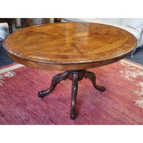 79 - Antique Victorian Burr Walnut Oval Centre Table , H: 71cm x L: 132cm x W: 94cm