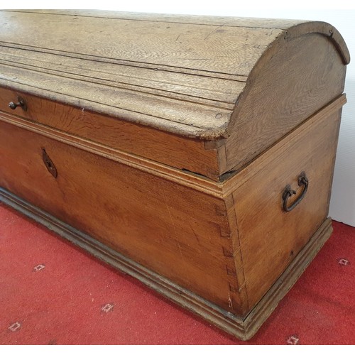 843 - Oak Blanket Chest with Dome Top, H: 69cm x W: 126cm x D: 58cm