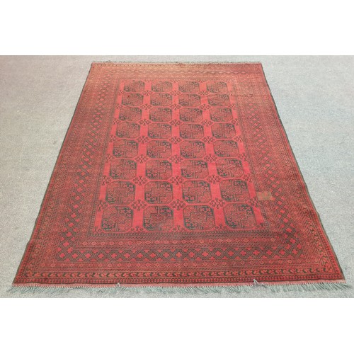 186 - Large Double-Knot Full Wool-Pile Red Afghan Carpet with Traditional Bokhara Design  L: 350 x W: 250c... 