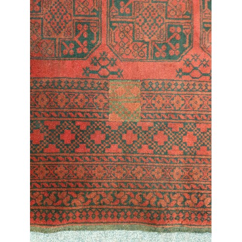 186 - Large Double-Knot Full Wool-Pile Red Afghan Carpet with Traditional Bokhara Design  L: 350 x W: 250c... 