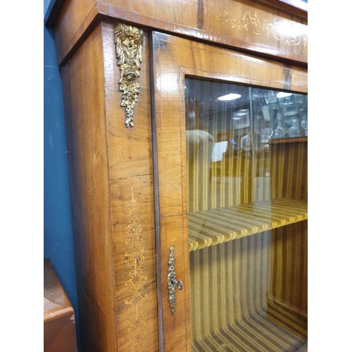 235 - Walnut Pier Cabinet with Brass Mounts