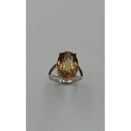 Lot 257       