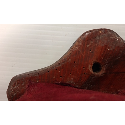 5 - Mounted Pair of Bovine Horns on Wooden Shield Plaque