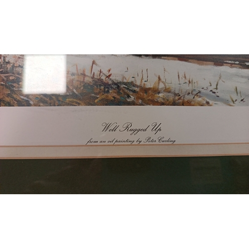 36 - Peter Curling: 'Well Rugged Up' (framed colour print) H: 57cm X W: 72cm