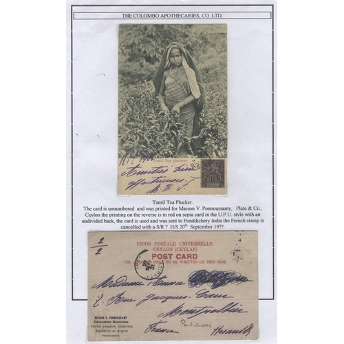 400 - PPC's: large collection, written up on display leaves, of cards produced by Colombo Apothecaries Co.... 