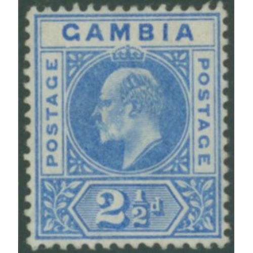 Lot 570       