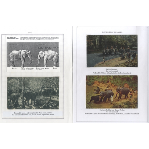 378 - THEMATICS: Elephants of Ceylon extensive collection, well written up on display leaves, of early & m... 