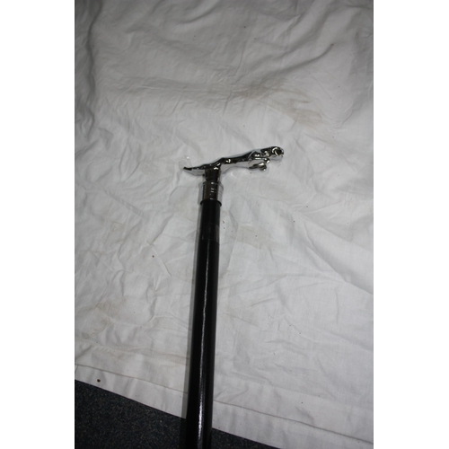 1393 - Jaguar handled walking stick 36