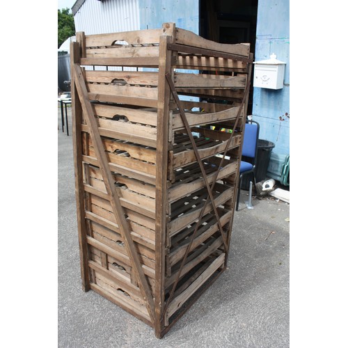 175 - Large apple rack 62