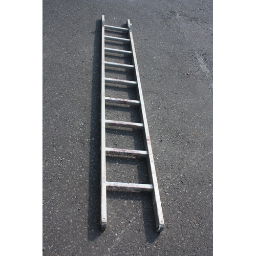 15 - Single aluminium ladder 8'