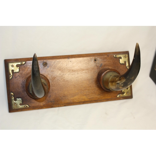 533 - Wall mounted horn coat hooks 16