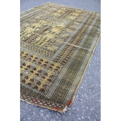 1490 - Tribal pistachio ground rug 78