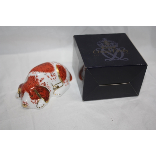 688 - Boxed Royal Crown Derby puppy paperweight- gold stopper 3 1/2