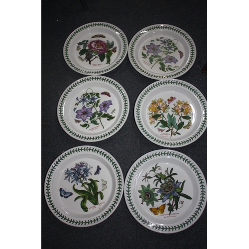 714 - 6 Portmeirion dinner plates 10 1/2