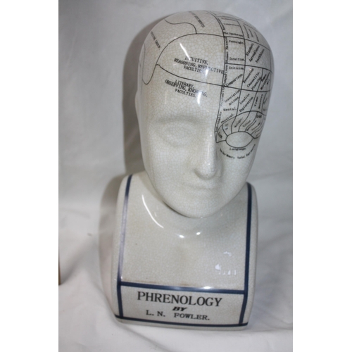 534 - Phrenology head 12