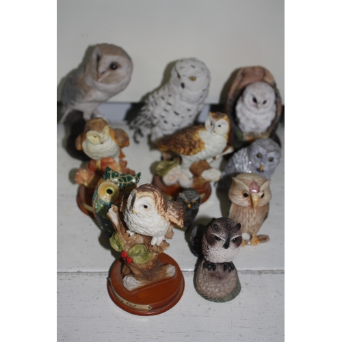 565 - Assorted china & resin Owls etc tallest 6