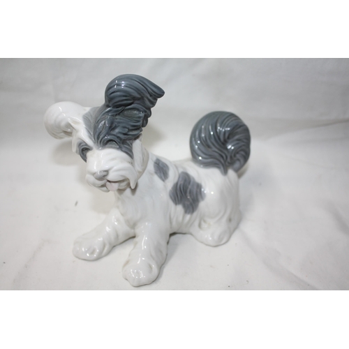 559 - Lladro Dog 6