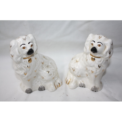 563 - Pair miniature Staffs dogs 6