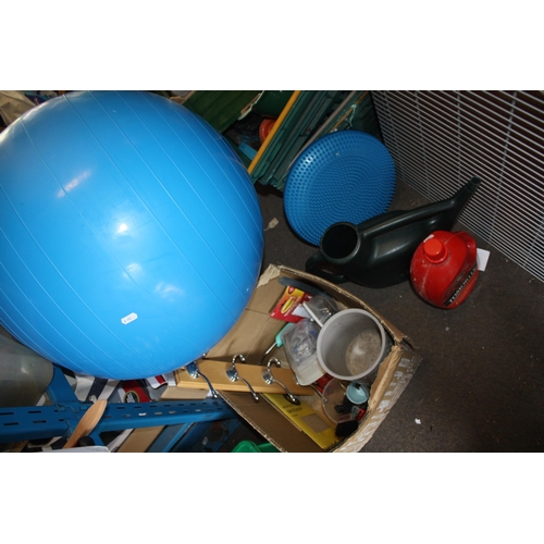 319 - Tomato feeder, exerciser ball etc