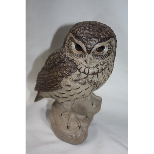 Large Poole Owl- B. Linley Adam 7"