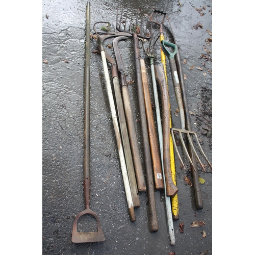 47 - Axe handles, garden tools etc