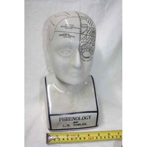 567 - Phrenologists head 12