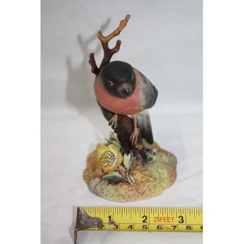 370 - Royal Crown Derby Bullfinch XL 5