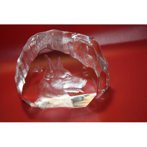 462 - Glass Wolfs head paperweight 4