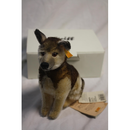 597 - Boxed Steiff dog with gilt button  7 1/2