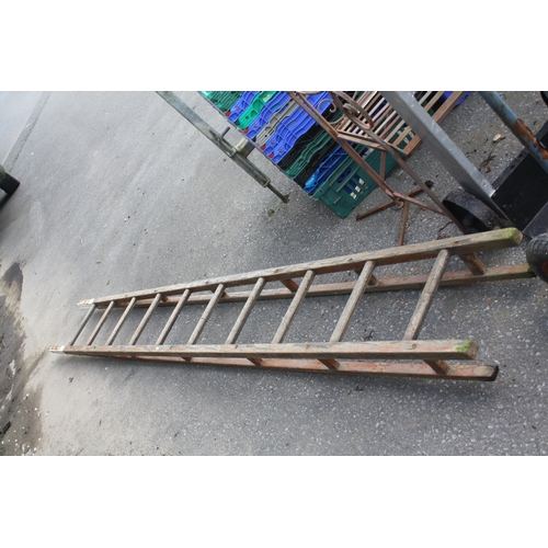 96 - 10 rung apple picker ladder