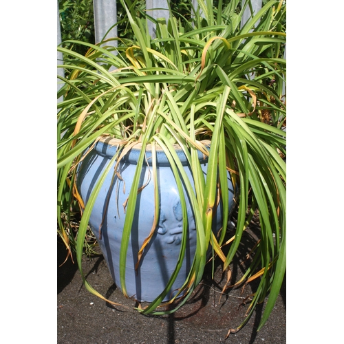 8 - Blue planter & plants 15 1/2