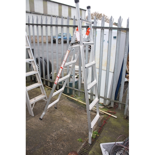 117 - Adjustable ladder